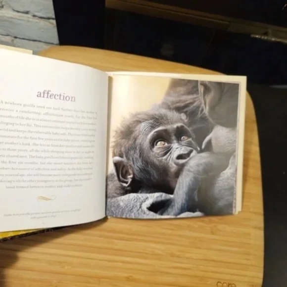 ❤️ Gift Book The Wisdom of Moms from NatGeo - Picture 3 of 8